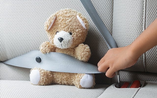 The Sharp Difference: Ein starker Partner an Ihrer Seite