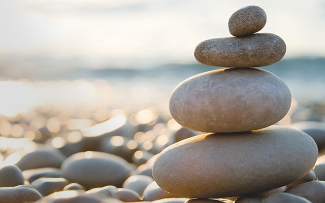 Auf dem Weg zur Klimaneutralit&auml;t: Sharp untermauert seine „Vision mit Zukunft“