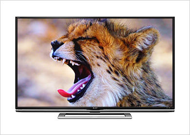 a television showing image of a wild cat