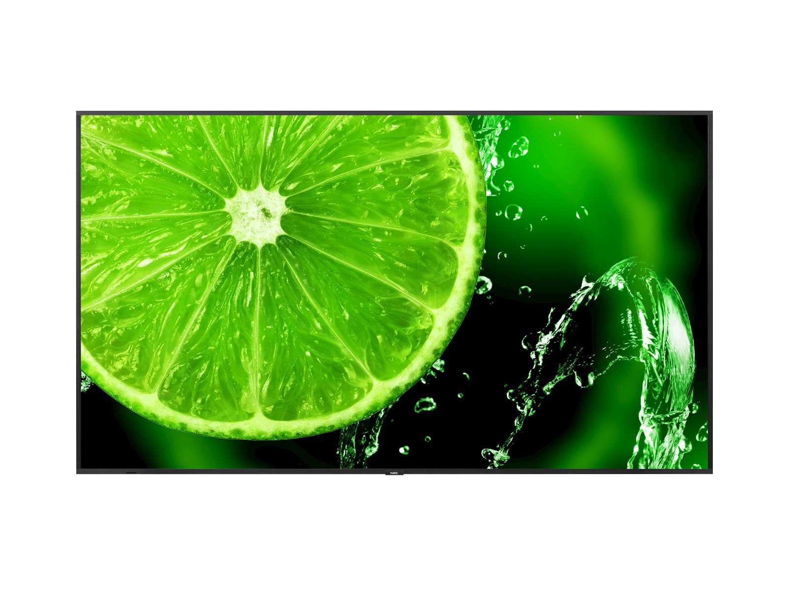 NEC MultiSync<sup>®</sup> E988