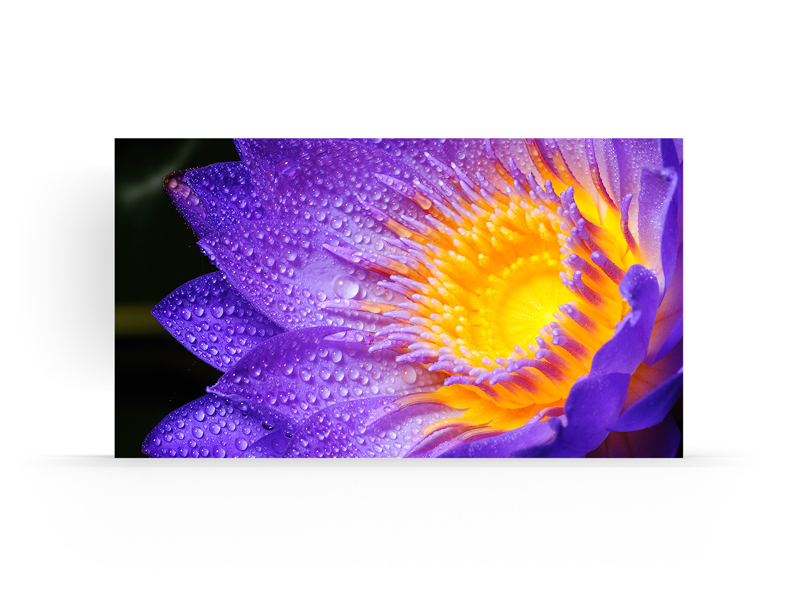 NEC_E_Series_LED_Front_Content